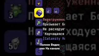 Террария каламити мод за призывателя 