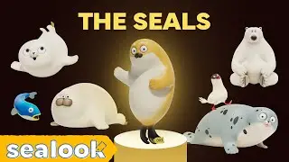 BEST SEALOOK AWARDS 2023🏆| SEALOOK | Episodes Compilation