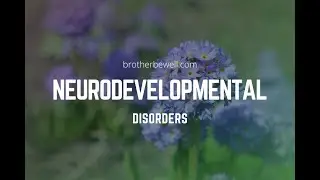 Neurodevelopmental Disorders - Symptoms and How To Recognize Neurodevelopmental Disorders