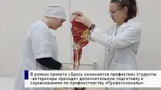 Итоги недели 13-19 ноября 2023 г.