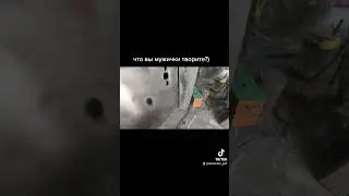 15 мая 2023 г.