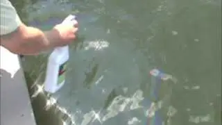 How to remove oil from water