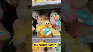 my current state