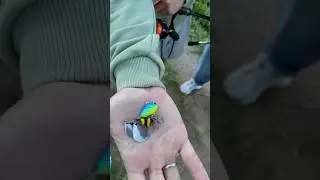 Благодарность подписчику за отличное место 