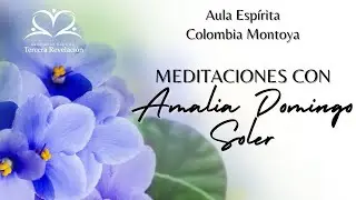 Meditaciones de Amalia Domingo Soler