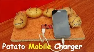 Patato Mobile Charger Free