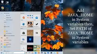 Flutter Installation issues