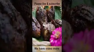 Rural smart girl cook delicious roast frog On rice field #shorts