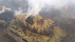 Коптим свиную тушку самостоятельно Copte pig carcass yourself