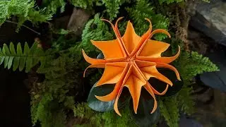 Easy Paper Flowers From post-it note