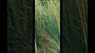 Моменты жизни!