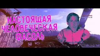 НАСТОЯЩАЯ ЧЕЛОВЕЧЕСКАЯ ФАСОЛЬ
