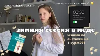 зимняя сессия в медицинском || сдаю зачёты, экзамен по анатомии || 💀🖇️