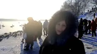 Один из ВЫХОДНЫХ дней. ЛЕБЕДИ на АЛТАЕ ЗИМОЙ!