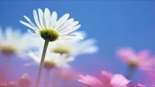 دعاء جميل بصوت ماهر المعيقلي