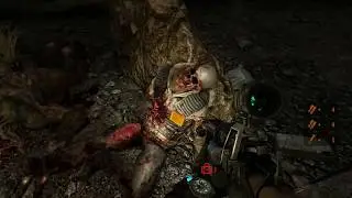 Metro: Last Light Redux