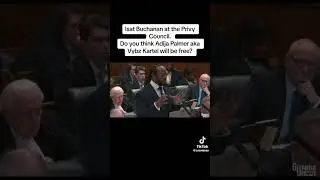 Isat buchanan speaks at vybz kartel privy council hearing #vybzkartel #music #dancehall #jamaica