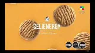 PNT ALFAJORES CELIENERGY - PROGRAMA LAM