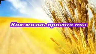 Как жизнь прожил ты,как её провёл
