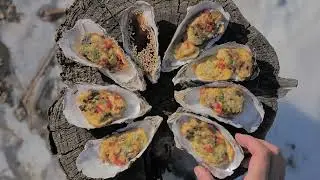 Delicious fish and oysters