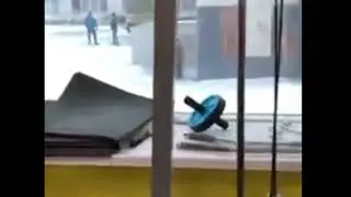 В Перми на улице нашли привязанного живого медведя