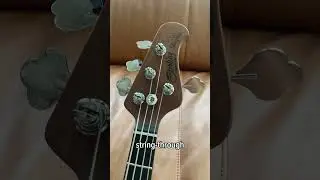 Bass of the Day: #SterlingByMusicMan StingRay Short Scale