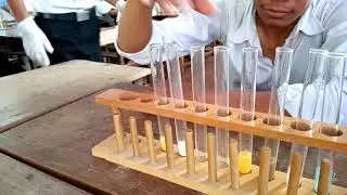 ពិសោធន៍គីមីវិទ្យាអំពី"ប្រតិកម្មបង្កើតកករ" ។ The last video.