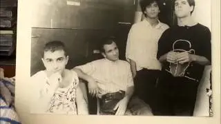 פונץ'   עדינה