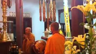 Công phu khuya - tán cổ 19.4.Tân mão