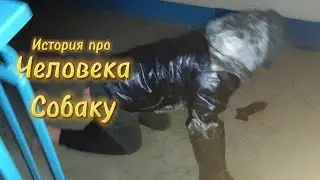 История про Человека-собаку | mikitushka1