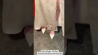 Elçin Sangu tarzı
