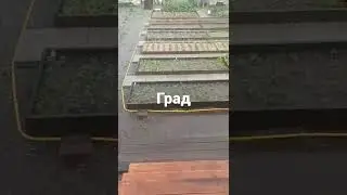 град