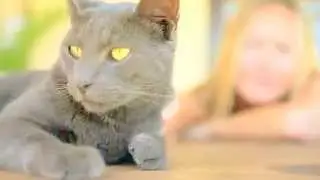 How To Cope With Pet Loss