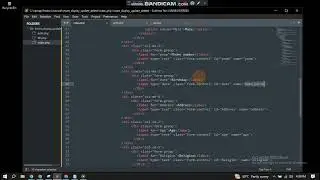 How to insert data into database ✔️