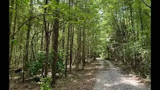 Garbage Day ~ Long Driveway