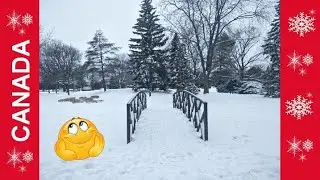 Le Québec sous la neige | hiver au Québec, Canada