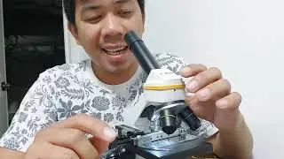 Kuto ng Tao parang Alimango Pala #underthemicroscope #lexblags