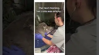 The baby gave him a hug! 