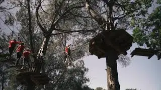 Adventure Park - Visitas de Estudo