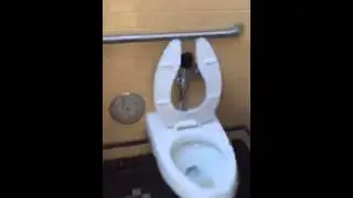 Американская школа - подкаст ученика, Русские в Америке