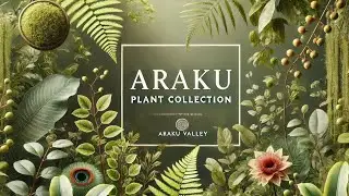 Plants I Collected from Araku Valley | Plants Care
