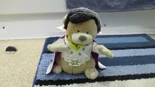 Elvis Presley Singing Dancing Bear -Crazy Little Thing Called Love 💓