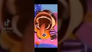 шоудаун-шадау рейз
