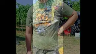 Vite in campo 2019