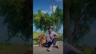 🥺🥺✅r❎#reels #viralreels #trending #love #entertainment }feel #doglover #dog @Jack_tuty_001.