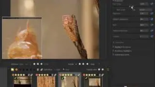 Gimp 'Pro' Tutorial: Introduction to Raw Therapee