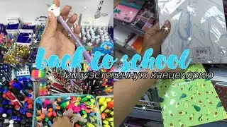 ВЫБИРАЮ КАНЦЕЛЯРИЮ В ШКОЛУ / BACK TO SCHOOL 2020 / ИЩУ ЭСТЕТИЧНУЮ КАНЦЕЛЯРИЮ