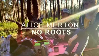 ALICE MERTON - NO ROOTS cover guitar acoustic