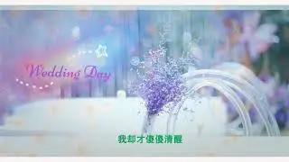 《嘉宾》张远 Cover By DLee