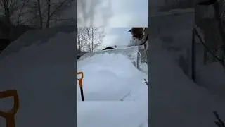 ТЕПЛИЦА ЗИМОЙ